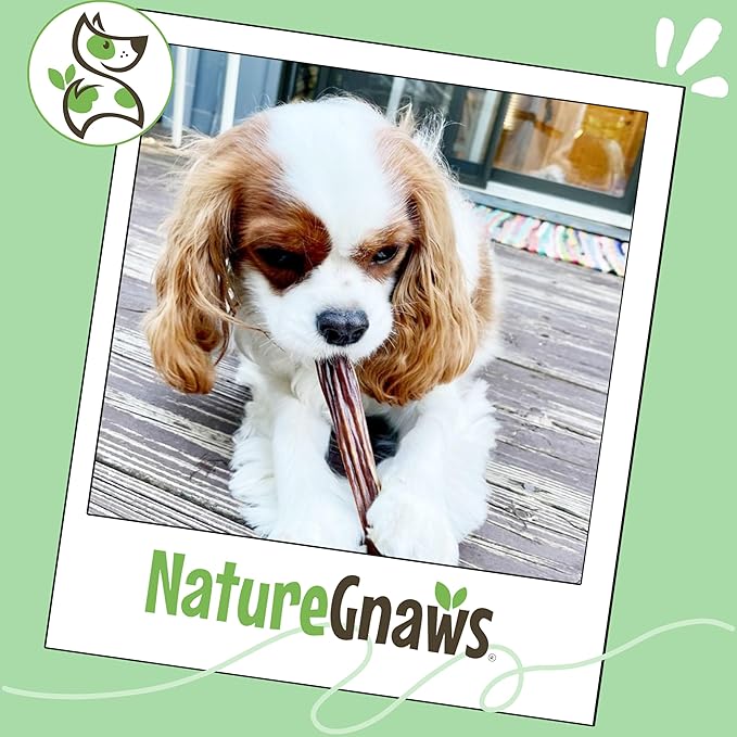 Nature Gnaws Beef Gullet Sticks for Dogs 5-6" (1Lb) - Natural Beef Jerky Stick Dog Chew Treats - Rawhide Free