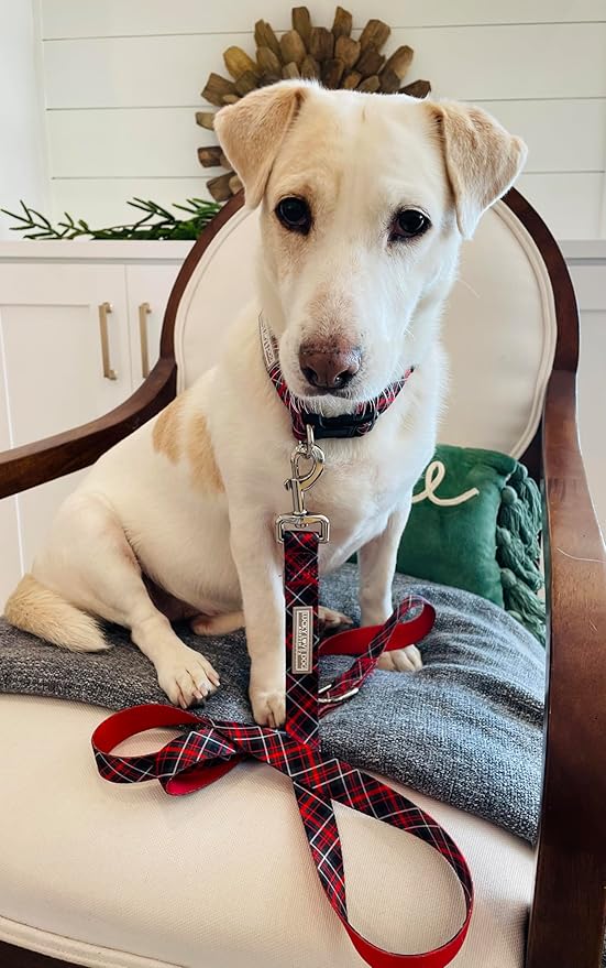 Lucky Love Dog - Adjustable Dog Collar with Easy Click Buckle for Large Ones, Durable, & Comfortable for Male & Female Dogs, Pet Collar for Puppies & Adult Dogs - Heywood, Large