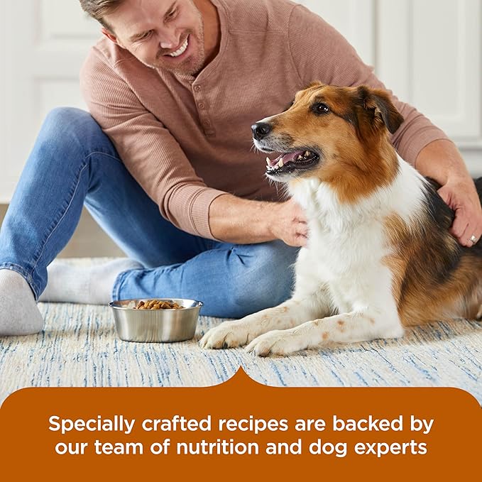 Nutrish Rachael Ray Healthy Weight Adult Dry Dog Food Real Turkey, Brown Rice & Venison Recipe, 4.5 lb. Bag