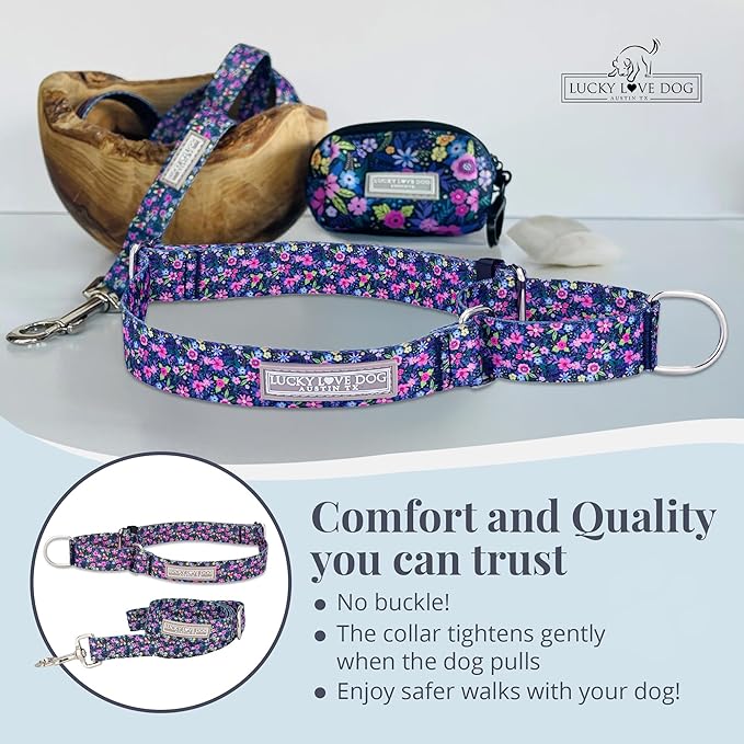 Lucky Love Dog Martingale Dog Collar & Leash - Adjustable, No-Slip, Durable, Comfortable, Soft Webbing, & Stylish Patterned Collar & Leash Set for Male and Female Dogs - Primrose Combo, Medium