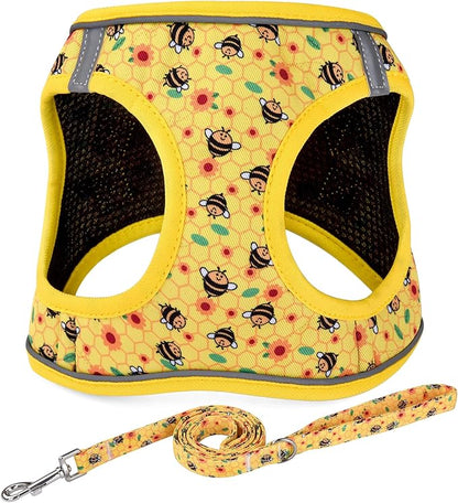 Mihqy Step in Dog Harness and Leash Set, Reflective Adjustable No Pull Dog Harness for Extra-Small/Small Dogs Puppy and Cats, Soft Padded Mesh Vest Harnesses for Girl and Boy Pets(Bee,XS)
