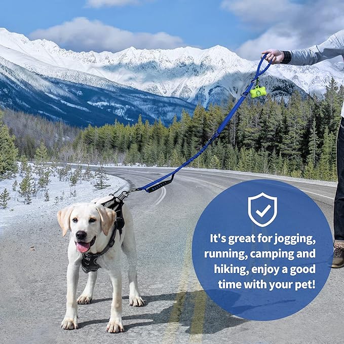 IOKHEIRA Multifunctional Dog Leash for Large & Medium Dogs, Adjustable with Car Seatbelt, 4-6 FT Strong Bungee (Blue)