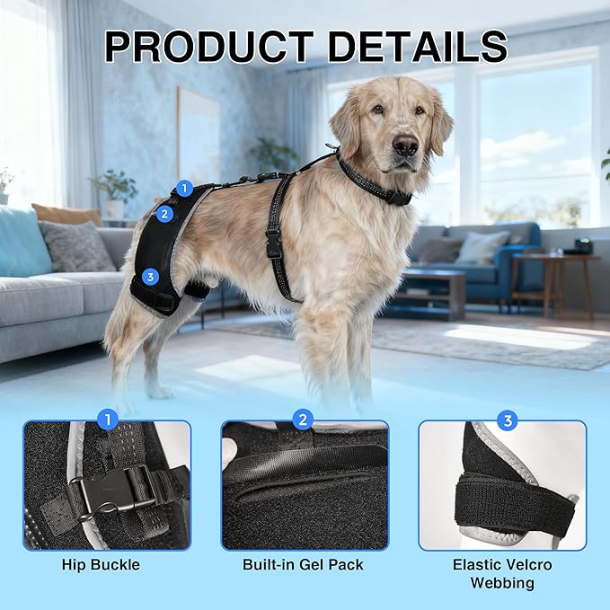 Dog Hip Dysplasia Brace with Hot/Cold Gel Pack – Adjustable Hind Leg Support Wrap for Arthritis, Joint Pain Relief & Post Mobility Recovery, Size XL