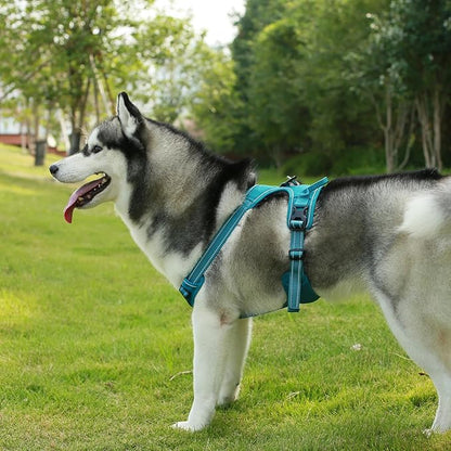 Voyager Dog Harness Dual Leash Attachment No-Pull Control Adjustable Soft but Strong Pet Harness for Medium and Large Dogs with 3M Reflective Technology, Turquoise Nylon, XL (Chest: 28-37")