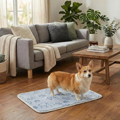 Qeils Reusable Puppy Pads, 2 Pack Washable Pee Pads for Dogs, Non Slip Wee Wee pad, Absorbent and Leakproof Training Mats for Potty, Crate, Playpen, Bed, Sofa, 28"x 42"