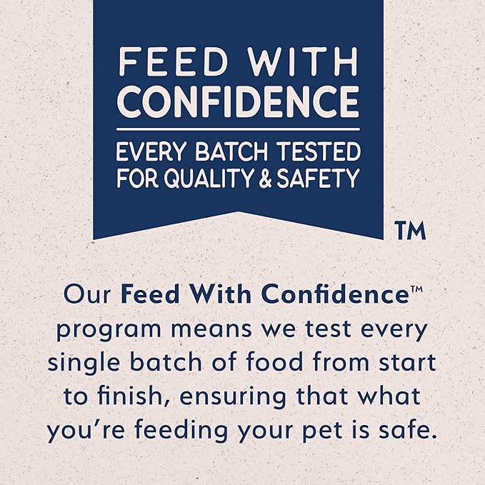 Natural Balance Limited Ingredient Adult Wet Canned Dog Food with Healthy Grains, Beef & Brown Rice Recipe, 13 Ounce (Pack of 12)
