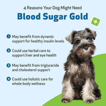 Pet Wellbeing Blood Sugar Gold Dogs - Holistic Blood Sugar Support, Pancreas & Liver Health, Gymnema, Fenugreek & Devil’s Club - NASC Certified & Vet-Formulated - 2 oz Liquid