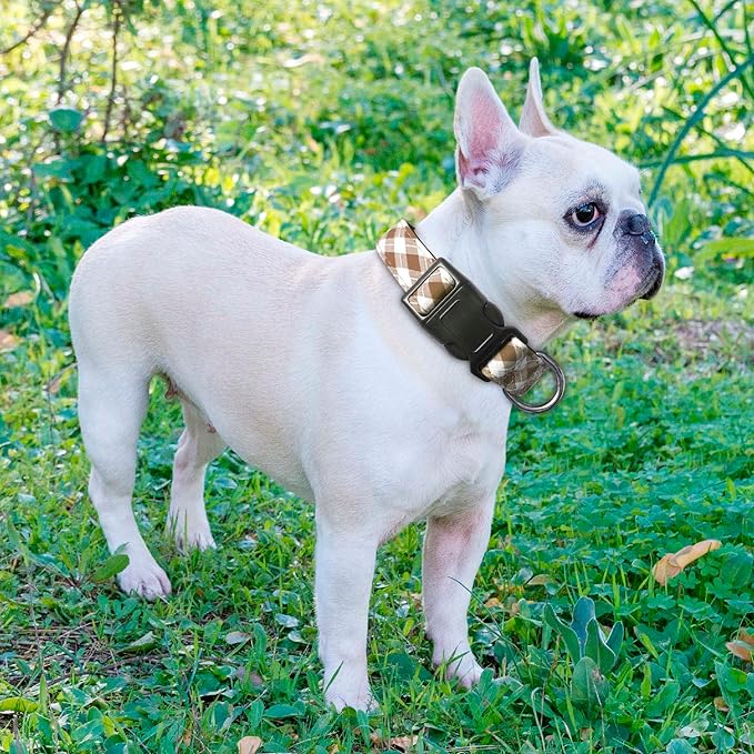 Ladoogo Reflective Dog Collar Padded with Soft Neoprene Breathable Adjustable Nylon Dog Collars for Small Medium Large Dogs (Medium (Pack of 1), Vanilla Plaid Collar+Leash)