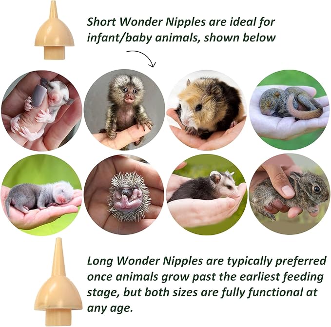 Exotic Nutrition Sugar Glider Joey Nursing Set - Milk Replacer Formula & Feeding Syringes for Baby Gliders