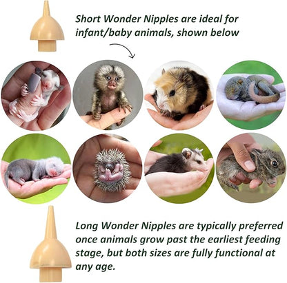 Exotic Nutrition Sugar Glider Joey Nursing Set - Milk Replacer Formula & Feeding Syringes for Baby Gliders