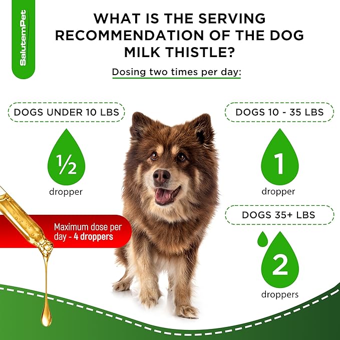 Milk Thistle for Dogs | Dog Liver Supplement for All Ages and Breeds | Here is Only Herbal Composition | + Attractive and Super Yummy Bacon Flavor | 2 Oz