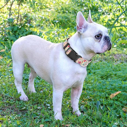 Ladoogo Reflective Dog Collar Padded with Soft Neoprene Breathable Adjustable Nylon Dog Collars for Small Medium Large Dogs (X-Small (Pack of 1), Vanila/Pink Floral Collar+Leash)