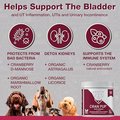 Cranberry Supplements for Dogs| Urinary Tract & Bladder Support| D Mannose & Antioxidants for Support| 120 Veterinarian Formulated Soft Chews| Up to 4-Month Supply