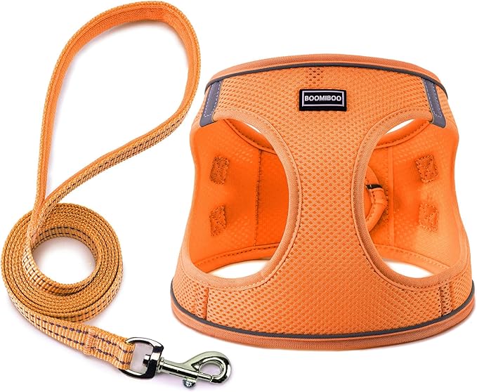 Dog Harness with Leash Set, No Pull Adjustable Reflective Step-in Puppy Pet Vest Harnesses for Small Medium Large Dogs and Cats,Orange XL
