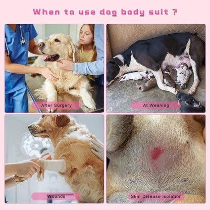 2 Packs Breathable Cotton Dog Recovery Suit for After Neuter Spay Abdominal Wounds Protector, Professional Anti-Licking Onesies for Male Female Pets Surgery Bandages, XL Purple & Pink Stripes
