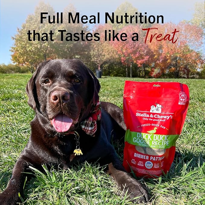 Stella & Chewy's Freeze-Dried Raw Dinner Patties - Duck Duck Goose Recipe - High Protein Grain-Free Puppy & Dog Food - Perfect for Picky Eaters - 25 oz,(Pack of 2)