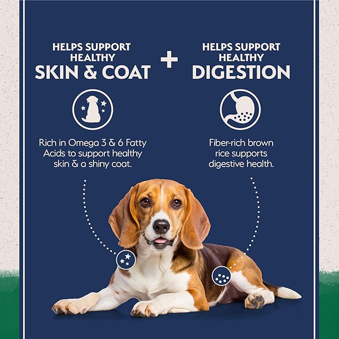 Natural Balance Limited Ingredient Adult Dry Dog Food with Healthy Grains, Lamb & Brown Rice Recipe, 4 Pound (Pack of 1)