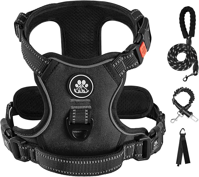 IVY&LANE No Pull Dog Harness for Small Dogs, Dog Vest Harness with Leash, Safety Belt and Storage Strap, Fully Adjustable Harness, 360° Reflective Strip, Soft Handle (Black, XS)