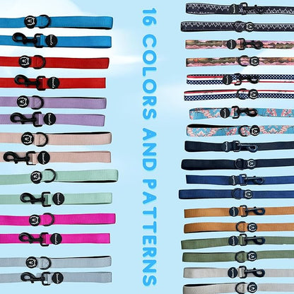 ShawnCo Dream Walk Dog Leash- Premium, Nylon Pet Leash with Soft Neoprene Handle for Small, Medium and Large Dogs (Stars and Stripes, Small)