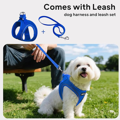 PetiFine Step in Small Dog Harness and Leash Set, Breathable All Weather Air Mesh Reflective Escape Proof, Step-in Vest Harnesses for Puppy(S, Baby Blue)