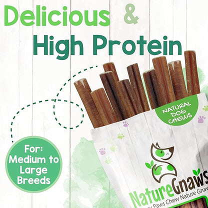 Nature Gnaws Large Bully Sticks for Dogs 5-6" (10 Count) - Thick Long Lasting for Aggressive Chewers and Large Dogs - Natural Beef Dog Chew Bones