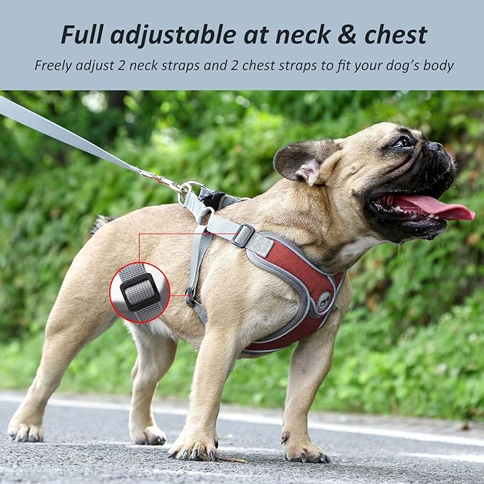 Dog Harness with Leash Set, No Pull Adjustable Step in Collars Frenchie Harness Vest for Small Medium Dog Walking and Running (S, Red)