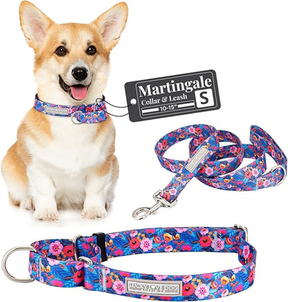 Lucky Love Dog Martingale Dog Collar & Leash - Adjustable, No-Slip, Durable, Comfortable, Soft Webbing, & Stylish Patterned Collar & Leash Set for Male and Female Dogs - Zuzu Combo, Small