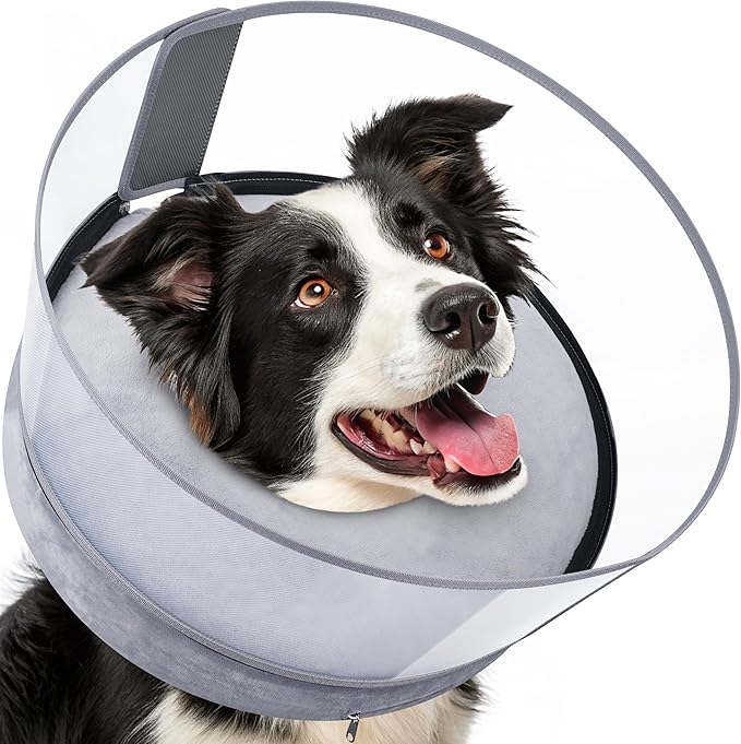 BARKLESS Dog Donut Collar, 2-in-1 Inflatable Dog Collars for After Surgery to Stop Licking Wounds, Patented Protective Donut Cone with High Shield for Small and Medium Pets (Grey, M+)