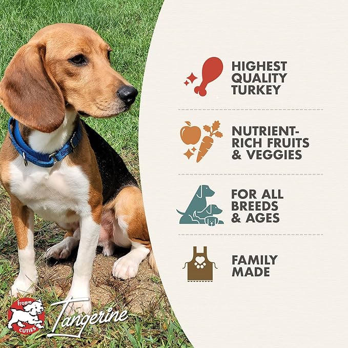 Fromm Four-Star Nutritionals Game Bird Dog Food - Premium Dry Dog Food - Turkey Recipe - 12 lb