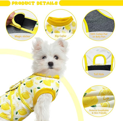 Dog Surgery Recovery Suit, Abdominal Surgical Suit for Male Female Dog Post Spay Neuter, Breathable Pet Onesie E-Collar & Cone Alternative, Surgery Shirt to Prevent Licking, Yellow, Medium