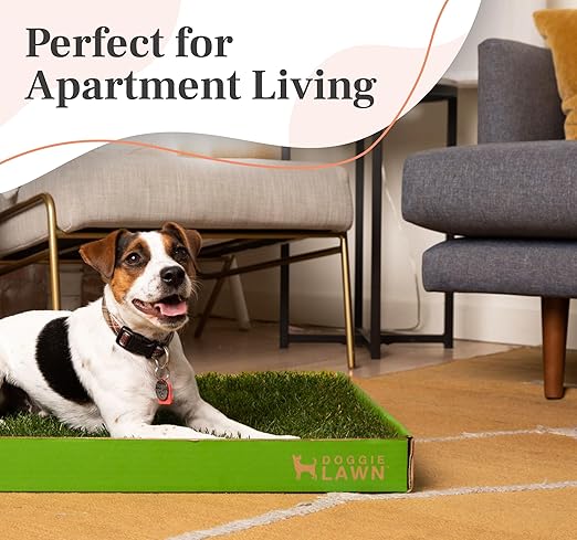 DoggieLawn Real Grass Puppy Pee Pads- 24 x 16 Inches - Perfect Indoor Litter Box for Dogs - No Mess, Easy-to-Use - Potty Training for Pets - Eco-Friendly Disposable Bathroom with Real Living Grass