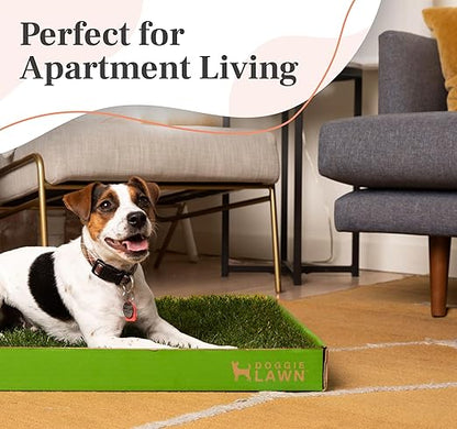 DoggieLawn Real Grass Puppy Pee Pads- 24 x 24 Inches - Perfect Indoor Litter Box for Dogs - No Mess, Easy-to-Use - Potty Training for Pets - Eco-Friendly Disposable Bathroom with Real Living Grass