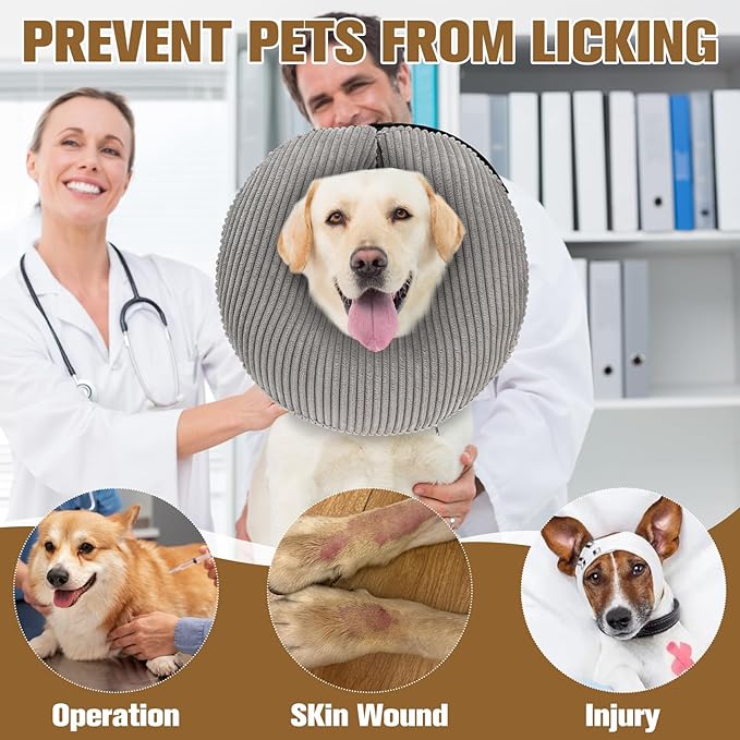 BINGPET Inflatable Dog Cone Collar Alternative After Surgery,Soft Recovery Cone for Dogs to Stop Licking,Dog Blow up Protective Neck Donut ECollars Adjustable for Large Medium Small Pet,Upgrade M Grey