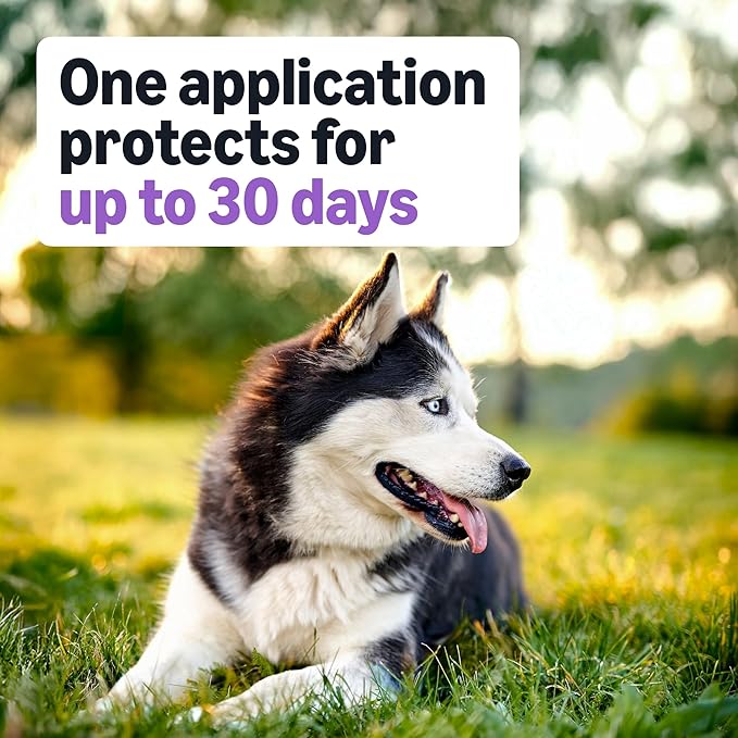 Amazon Basics Preventative Flea and Tick Topical Treatment for Dogs, Large (45-88 lbs), Fast Acting and Long Lasting, 6 Counts, Packaging May Vary
