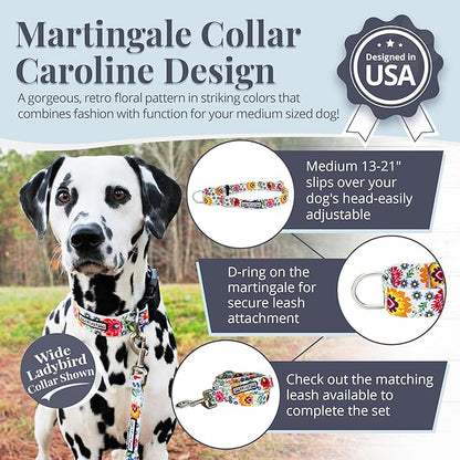 Lucky Love Dog Martingale Dog Collar - Adjustable, No-Slip, Durable, & Soft Webbing Collar for Male and Female Dogs Ideal for Training & Walking - Ladybird, Medium