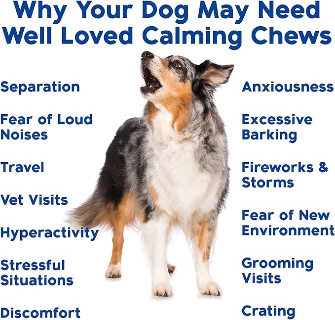 Well Loved Calming Chews for Dogs - Dog Calm Treats, Made in USA, Vet Developed, Behavior Support, Stress, Separation, Fireworks, Travel, Melatonin, Natural & Holistic, 90 Count