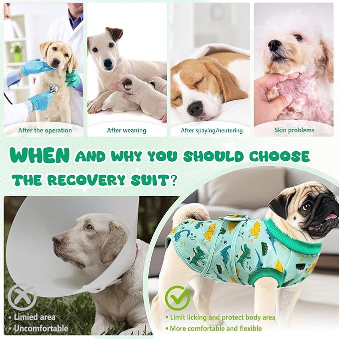 Dog Surgery Recovery Suit, Abdominal Surgical Suit for Male Female Dog Post Spay Neuter, Breathable Pet Onesie E-Collar & Cone Alternative, Surgery Shirt to Prevent Licking, Green, Medium