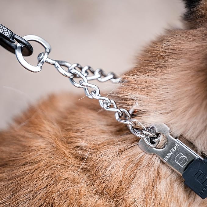 Herm Sprenger Stainless Steel Dog Collar with Short Links and Quick Release ClicLock Buckle Made in Germany (Stainless Steel, 20in x 3.0mm (Neck Size up to 16-17in))