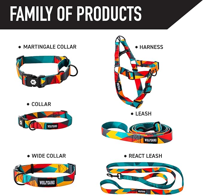 Wolfgang Heavy Duty Dog Leash, Pull-Tested to Over 800 lbs for Walking & Training, ShatterShapes Print, Large