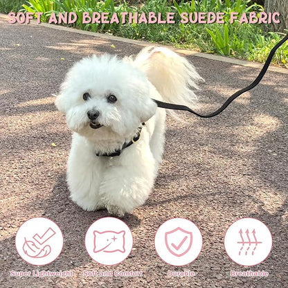 Guiding Star Dog Harness Small Sized Dog with Multifunction Leash, No Pull Puppy Dog Harness and Leash Set Training, Cute Soft Adjustable Dog Walking Harness Pet Vest Harness (Black-XS)