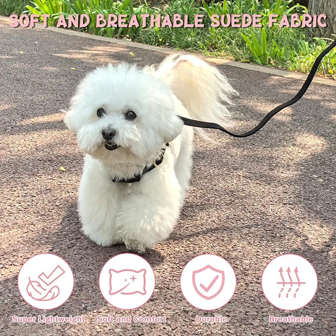 Guiding Star Dog Harness Small Sized Dog with Multifunction Leash, No Pull Puppy Dog Harness and Leash Set Training, Cute Soft Adjustable Dog Walking Harness Pet Vest Harness (Black-XXS)