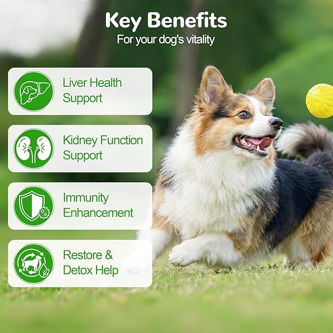Liver Support for Dogs, Milk Thistle for Dogs - Detox, Metabolic, Dog Multivitamin Supplement for Liver and Kidney Support & Immune Health, 200 Soft Chews