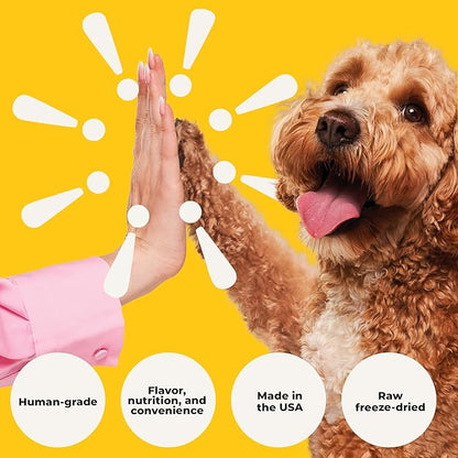 Beef Liver Dog Treats Freeze Dried - Single Ingredient Human Grade Raw Liver Bites for Training, Meal Topper, No Additives - High Protein(31g Per Cup)Training Treats for Dogs, Made in the USA,14oz Bag