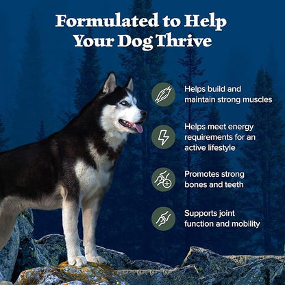 Blue Buffalo Wilderness Natural High-Protein Dry Food for Adult Dogs, with Wholesome Grains, Duck, 28-lb Bag.