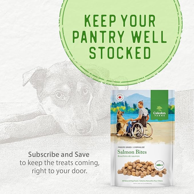 Caledon Farms Freeze Dried Dog Treats - Salmon 3.2OZ