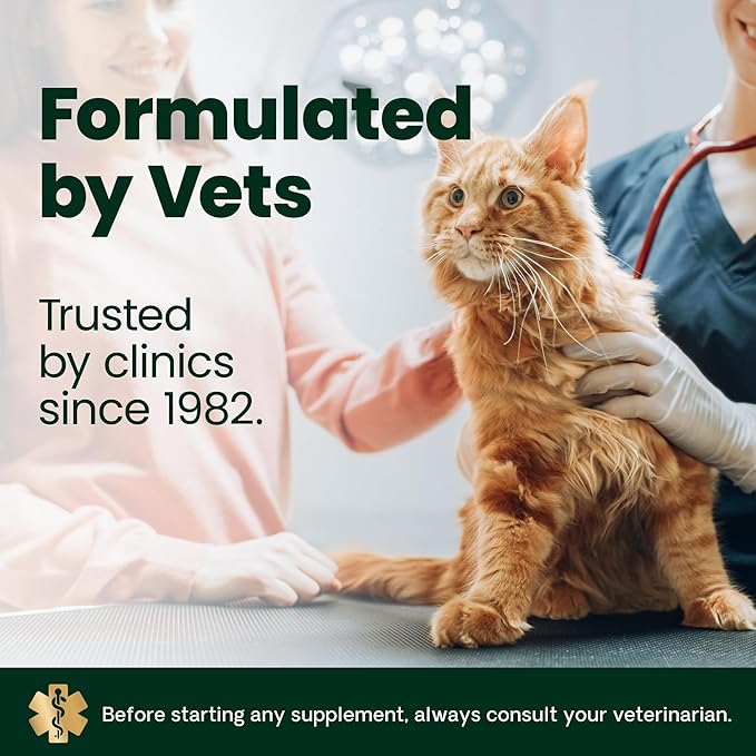 VetriScience Kidney Health Powder, Renal Essentials Supplement for Cats, Kidney Care and Support with Mushroom, Astragalus Root, Nettle Seed and Herbs, Chicken & Cheese, 60 Scoops