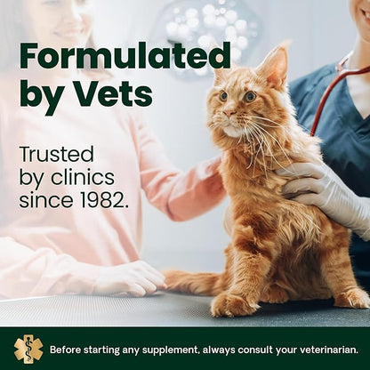 VetriScience Kidney Health Powder, Renal Essentials Supplement for Cats, Kidney Care and Support with Mushroom, Astragalus Root, Nettle Seed and Herbs, Chicken & Cheese, 60 Scoops