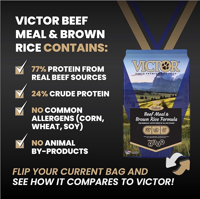 VICTOR Super Premium Dog Food – Select Beef Meal & Brown Rice Formula for Immune and Gut Health – Gluten-Free Beef Meal Dry Dog Food for All Normally Active Dogs of All Life Stages, 40 lbs