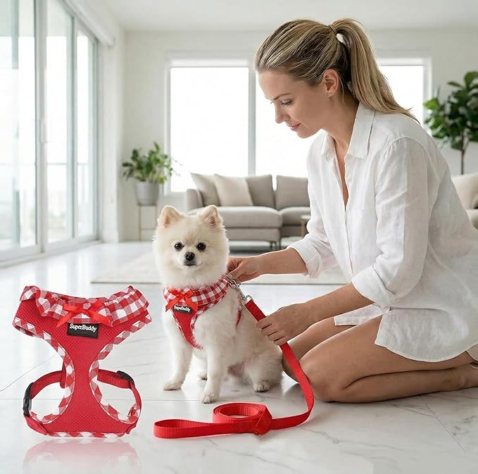 SuperBuddy Upgraded Soft Mesh Dog Harness, Super Breathable Lightweight Pet Harnesses for Puppy Dogs Outdoor Walking, Red Dog Harness and Dog Leash Set Packing -XSmall