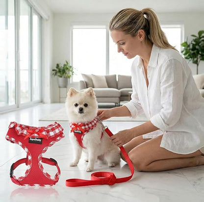 SuperBuddy Upgraded Soft Mesh Dog Harness, Super Breathable Lightweight Pet Harnesses for Puppy Dogs Outdoor Walking, Red Dog Harness and Dog Leash Set Packing -XSmall